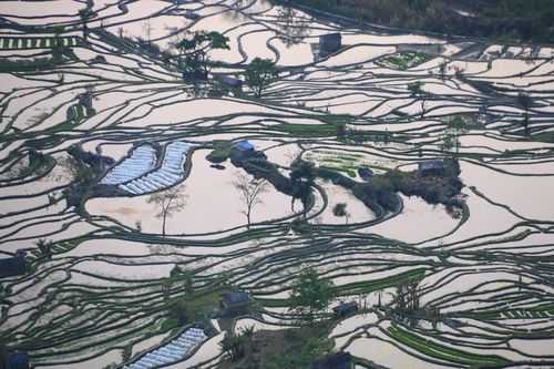 元阳梯田形成过程（元阳梯田的生态价值）-图2