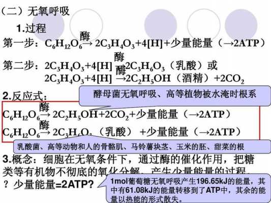 人类做出反应的过程（人类的反应形式）-图2