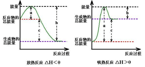 人类做出反应的过程（人类的反应形式）-图1