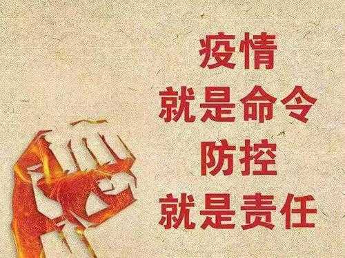 对疫情过程的讲解（对疫情的介绍）-图1