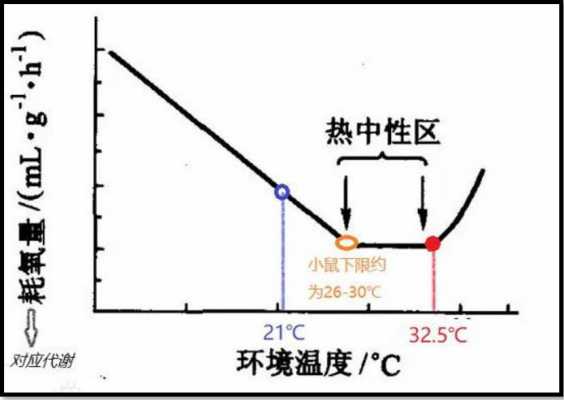 燃烧过程体温问题（燃烧过程中温度越高燃烧越快）-图3