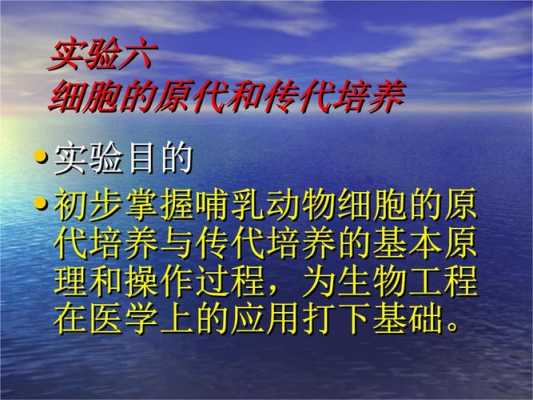 传代培养过程（传代培养过程中应注意的问题以及对于污染的解决方案）-图1