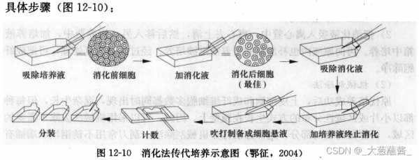 传代培养过程（传代培养过程中应注意的问题以及对于污染的解决方案）-图2