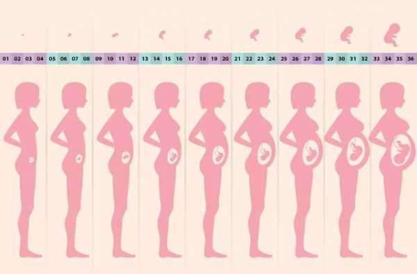 怀孕肚子变化过程视频（怀孕肚子变化过程视频记录）-图1