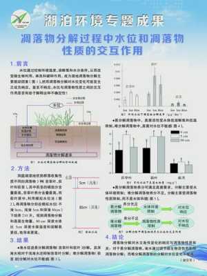 凋落物过程与功能（凋落物过程与功能的区别）-图3