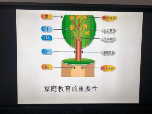 作为过程的（作为过程的教育）-图3