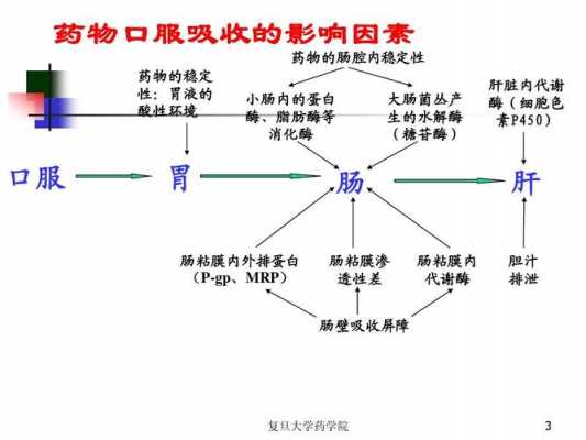 吸收的过程（药物吸收的过程）-图1