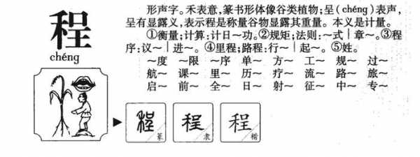 形成过程的程（形成过程的程可以组什么四字词语）-图1