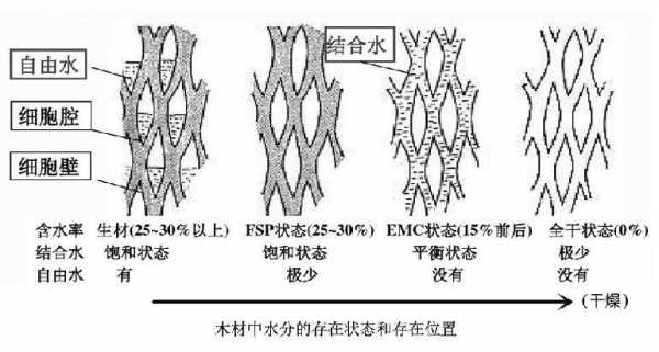 湿木头变形过程（木材的湿胀干缩变形的原因）-图3