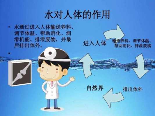 水在人体的过程示意图（水在人体的存在形式）-图2