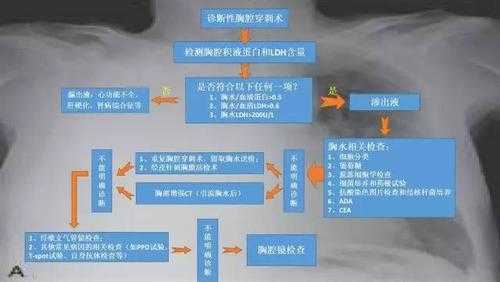 诊断过程的简单介绍-图1