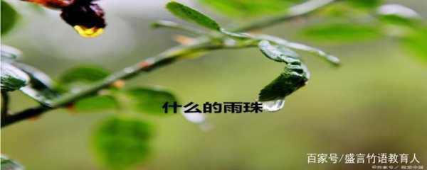 雨珠变成云的过程（雨珠下落过程）-图1