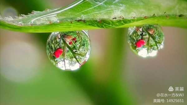 雨珠变成云的过程（雨珠下落过程）-图2