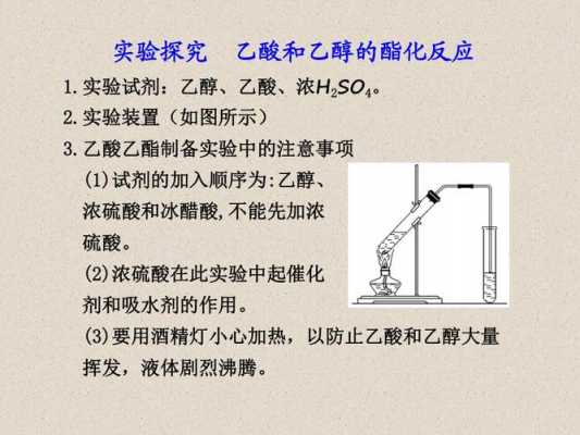 乙醇乙酸酯化实验过程（乙醇和乙酸的酯化反应实验报告）-图1