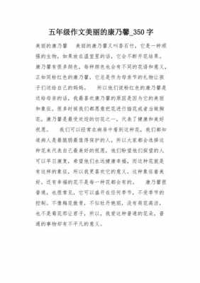 制作康乃馨的过程作文（制作康乃馨花的过程简单）-图3