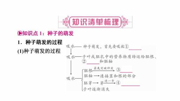 种子萌发的过程激素（种子萌发的机理）-图3