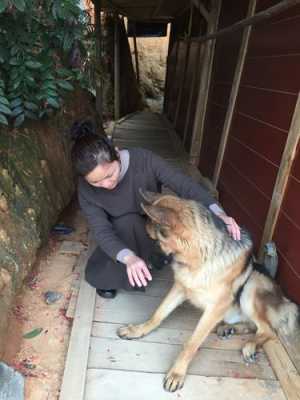 女人与公犬做的过程的简单介绍-图1