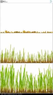 记录小草的生长过程（小草生长过程描述）-图1