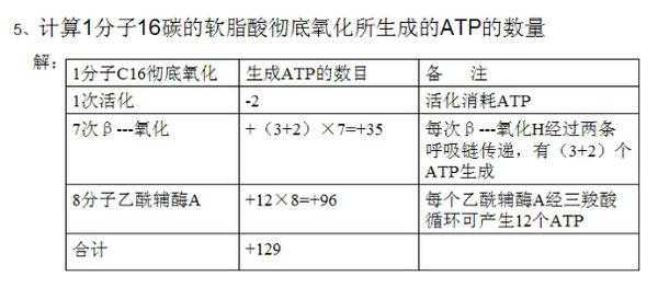 软脂酸氧化的过程（软脂酸氧化的过程包括）-图2