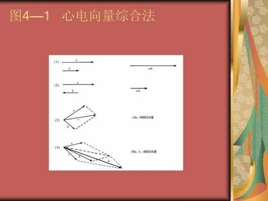 向量心电图的形成过程（心电向量图ppt）-图2