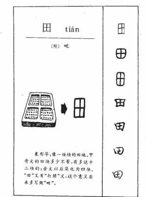 田字的过程（田字的变化过程）-图1