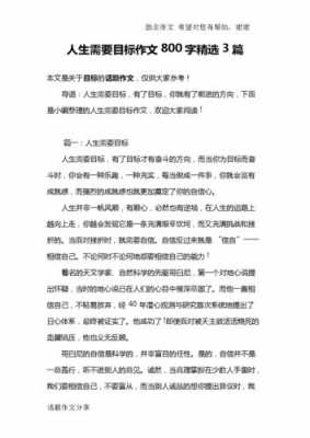 人生过程与目标（人生过程与目标作文）-图3