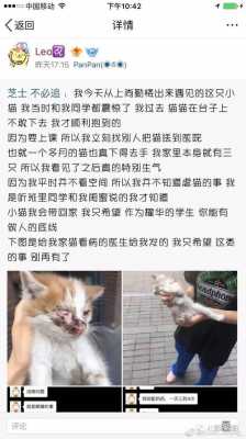 虐猫过程自白（虐猫现场）-图2