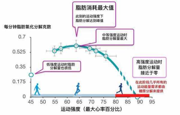 一千米跑步过程（一千米跑步过程中能量代谢完全是有氧代谢）-图1