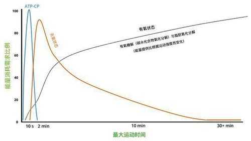 一千米跑步过程（一千米跑步过程中能量代谢完全是有氧代谢）-图2