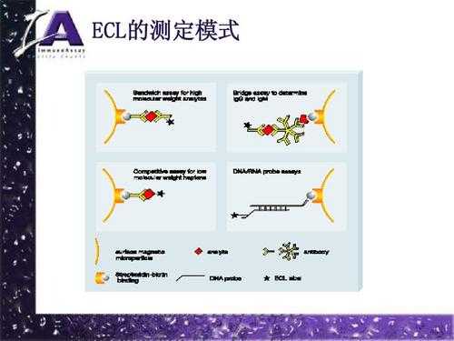 ECM分析过程（ecl分析）-图2