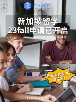 新加坡留学申请过程（新加坡留学如何申请）-图2