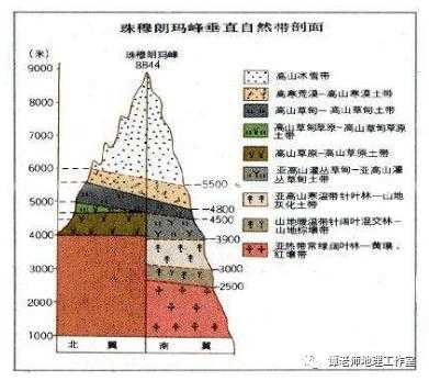 天蒙山土壤发育过程（天山土壤情况）-图1