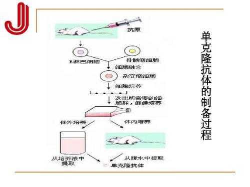 非平衡制备过程（非平衡制备过程是什么）-图1