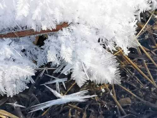 雪结成冰的过程（雪结成冰的句子）-图2