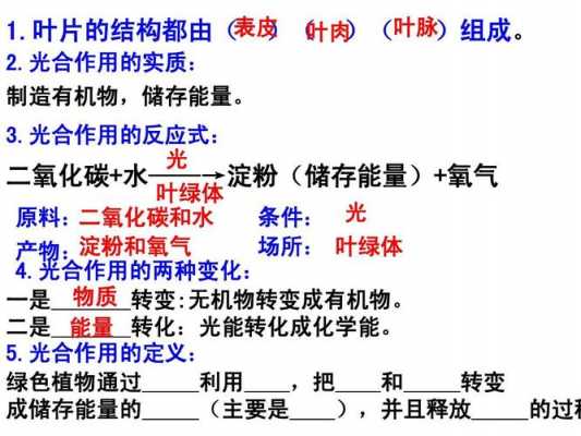 条件作用形成过程（条件作用形成过程怎么写）-图1