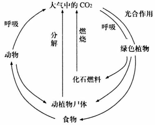 条件作用形成过程（条件作用形成过程怎么写）-图3