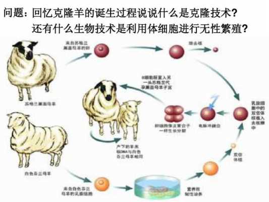 克隆的完整过程（克隆的原理是什么?）-图3