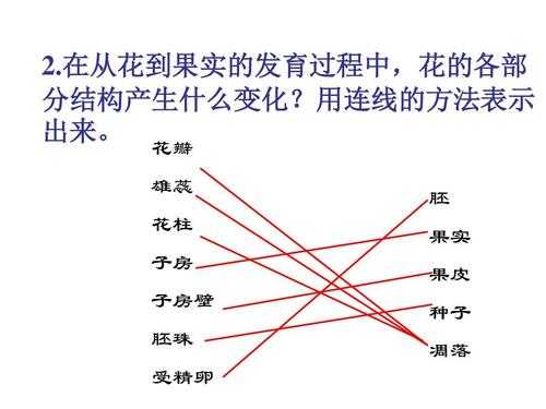 果实的形成过程开花（果实的形成过程依次是）-图3