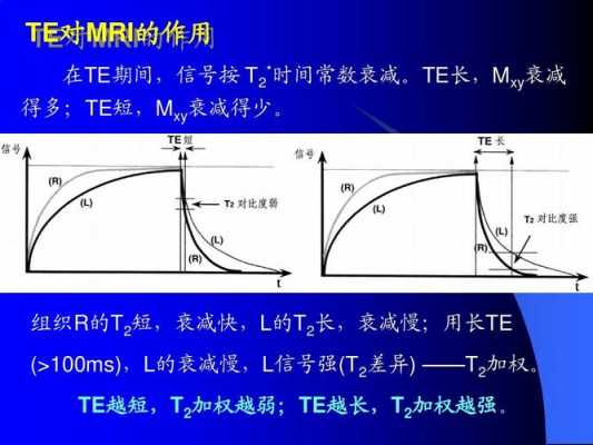 te过程（te过程数据）-图2