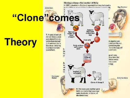克隆过程英文（克隆技术英文视频）-图2