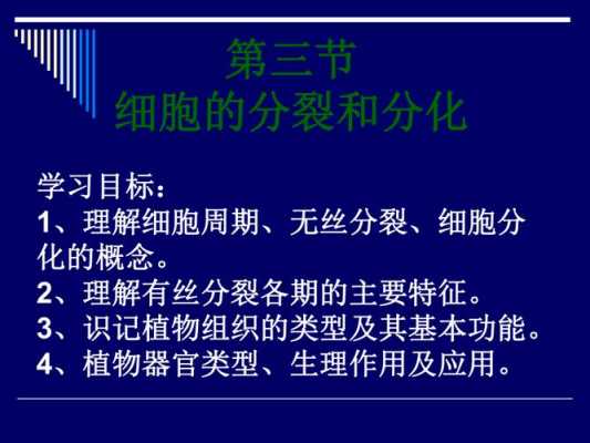 关于过程1表示细胞的分裂的信息-图2