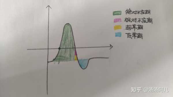 兴奋的过程举例（兴奋的变化过程）-图1