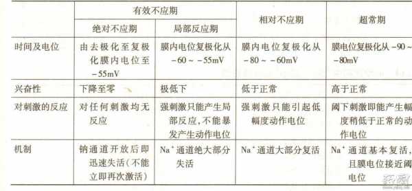 兴奋的过程举例（兴奋的变化过程）-图2