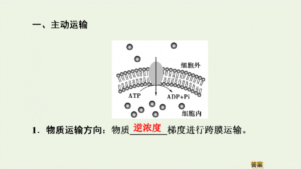 简述主动转运过程（简述主动转运的过程）-图3