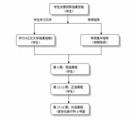 选修课选过程（选修课程的程序）-图1