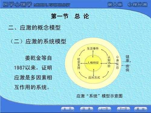 应激的过程（应激的过程模型包括哪些）-图3