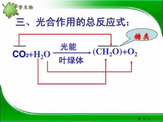 光合作用的过程说课稿（光合作用过程教案试讲）-图2