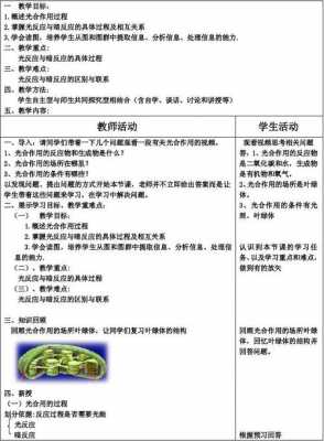 光合作用的过程说课稿（光合作用过程教案试讲）-图3