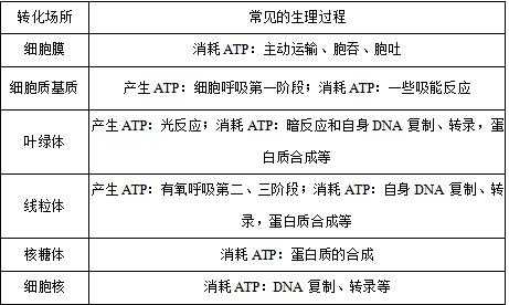 需要消耗atp的过程（消耗atp的活动）-图3