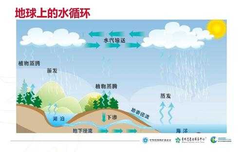 水生命形成过程图片（水的生命图片）-图2